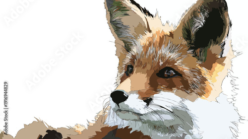 A stylized illustration of a fox, partially visible with focus on the head, featuring bold color blocks