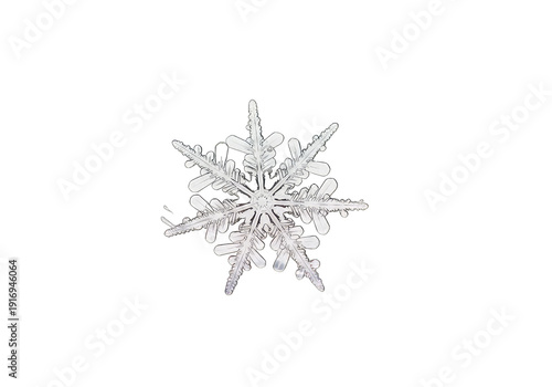 Intricate snowflake crystal with delicate transparent structure