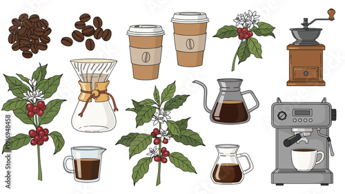 Complete set of coffee making equipment including an espresso machine, manual coffee grinders, beans, branches, and glass carafes.