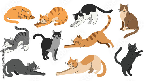 Diverse collection of cartoon cats in various poses such as stretching, sleeping, and sitting with different fur patterns and colors.