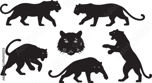 Powerful Big Cat Vector Silhouette Collection: Black Panther, Leopard, or Jaguar Set with Detailed Head Icon and Various Action Poses for Mascot Design and Logos.