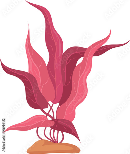 Ocean algae icon. Red leaves growing plant