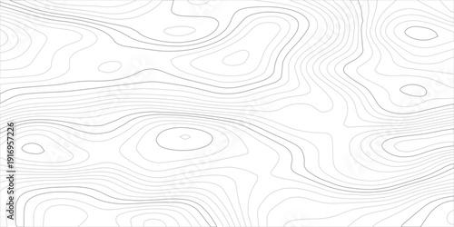 Minimal light gray topographic contour line pattern featuring smooth organic terrain curves, vector land elevation and mountain cartography in an abstract modern map background