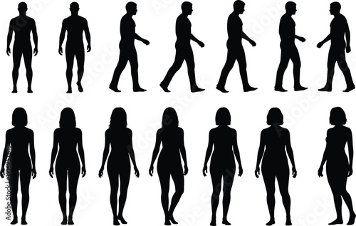 Vector silhouettes depicting male and female body transformation stages from fat to fit through diet and fitness training.