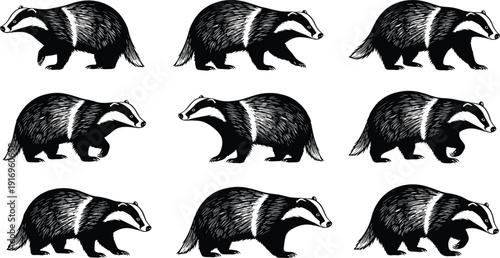 Badger silhouette collection, animal vector icons, black wildlife artwork, nature illustration, forest clipart, mammal design, educational graphics, zoology pattern, species study