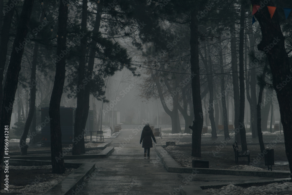 Obraz premium A lone figure walks away down a wet, paved path in a gloomy park during a foggy winter day. The scene is framed by tall, dark pine trees and bare branches, with melting snow patches lining the walkway