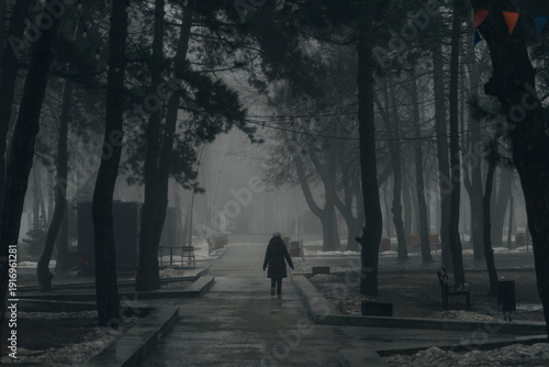 A lone figure walks away down a wet, paved path in a gloomy park during a foggy winter day. The scene is framed by tall, dark pine trees and bare branches, with melting snow patches lining the walkway