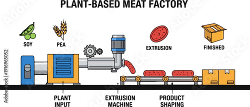 Plant-based meat factory vector illustration showing the production process from soy and pea input to finished product. The diagram includes plant input, extrusion machine, product shaping