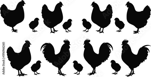 Black poultry silhouette set featuring rooster hen and chick for farm life organic food agriculture livestock farming and village nature design,