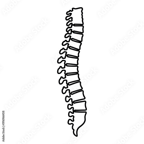 Simple Black Outline Illustration of the Human Spine Showing Vertebrae and Natural Curvature