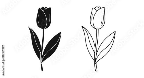 Two simple tulip flower line art drawing black and white illustration Vector