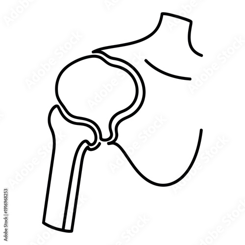 Simple line art illustration of the human shoulder joint anatomy