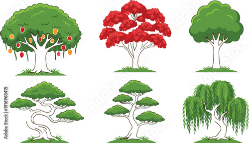 Mango tree with ripe fruits blooming red poinciana deciduous oak bonsai collection and weeping willow for garden landscape and nature design,