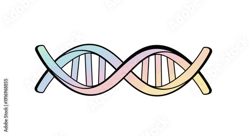 DNA Double Helix Structure Model.