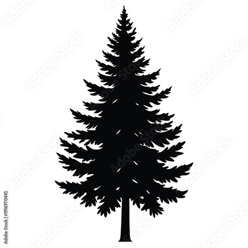 evergreen tree silhouette line art vector illustration with a white background