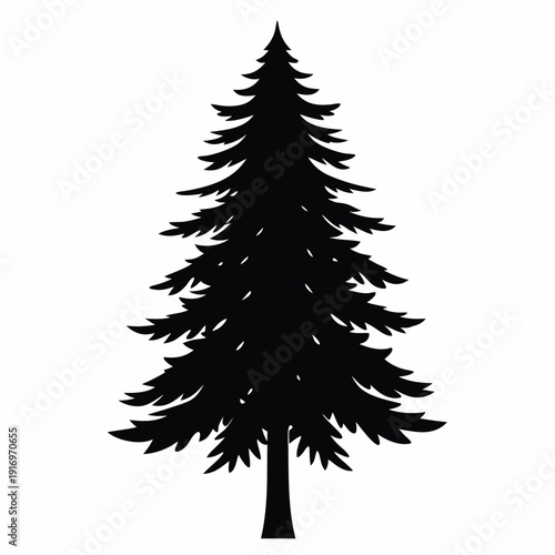 evergreen tree silhouette line art vector illustration with a white background