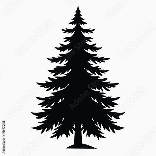 evergreen tree silhouette line art vector illustration with a white background