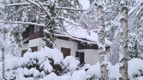 Rustic Wooden Cabin Behind Heavy Snow-Covered Evergreen Shrubs