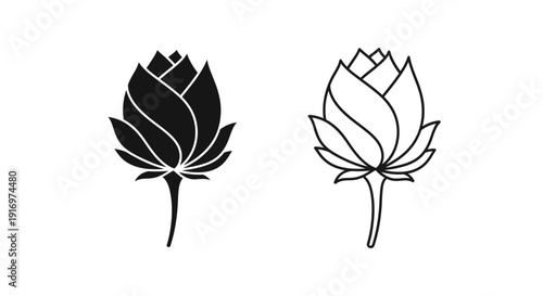 Black and white lotus flower illustration, elegant botanical line art design Vector
