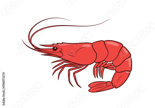 A vibrant red shrimp with long antennae and claws, a crustacean sea creature