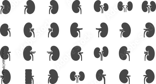 Collection of human kidney illustrations in various orientations