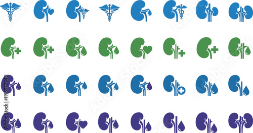 Kidney health icons set with medical symbols and colors