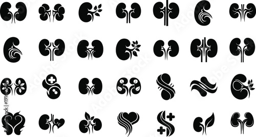 Kidney icons set for healthcare and medical use