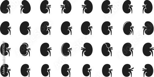 Multiple human kidney illustrations in black on white background