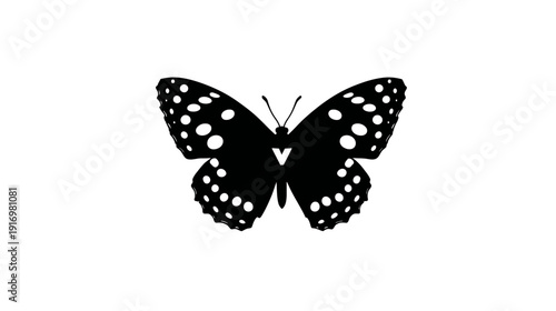A black and white silhouette of a butterfly with spotted wings against a pure white background