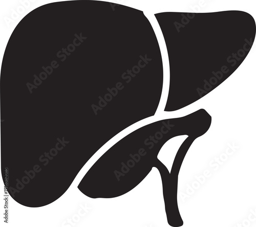 Silhouette of the Liver: a close-up depiction of the human liver, a vital organ. The minimalist design in high contrast enhances its visual impact.