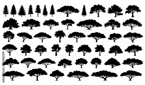 Big vector set of diverse tree silhouettes from different natural zones on white background