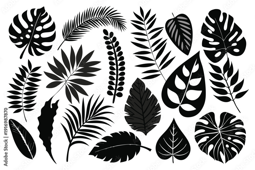 Fototapeta premium set of tropical leaves and palm leaves silhouette line art vector illustration with a white background