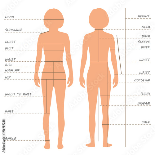 body measurements size chart,