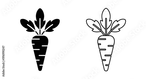 Two carrots with green leaves on white background Vector