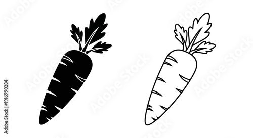 Two black and white carrots illustration, vector drawing of fresh vegetables Vector