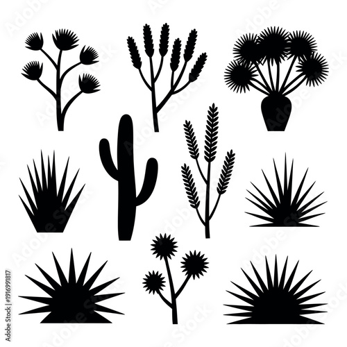 A collection of desert plant silhouettes on white