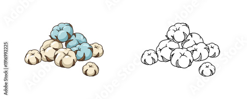 Raw cotton bolls pile in colored and black outline linear style featuring white and blue buds for textile industry or organic agriculture design on white background