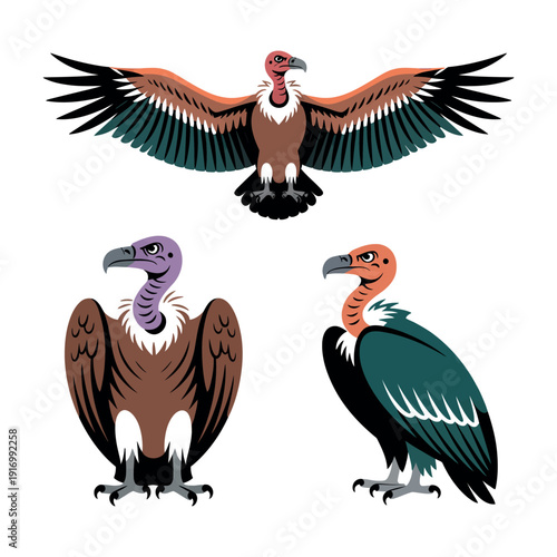 Three colorful cartoon vultures on a white background