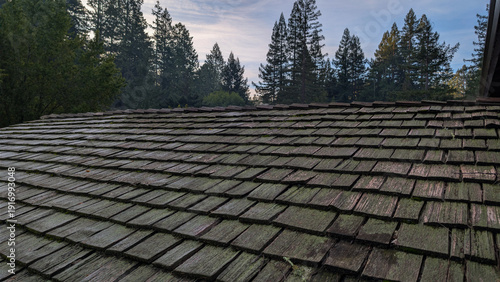 Mossy Wood Shake Roof Amidst California Redwoods