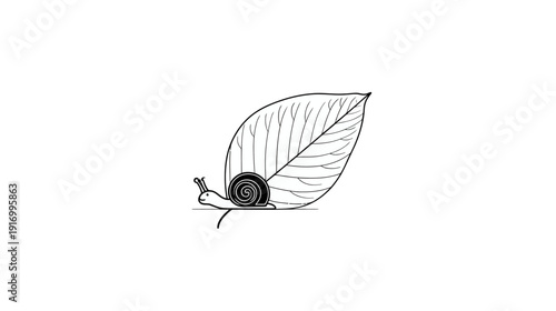 A cute, simple black and white illustration of a snail on a leaf, with a clean white background