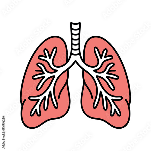 An illustration of human lungs with trachea