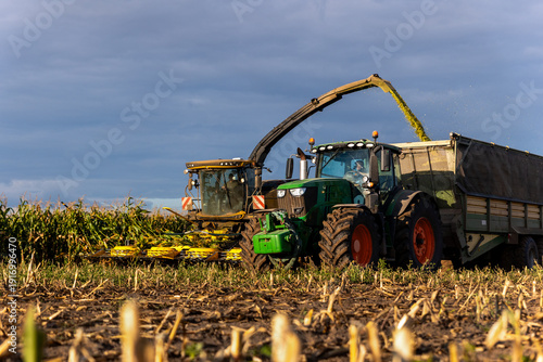 Foto Modern forage harvester combiner harvesting silage maize corn tractor trailer corn field warm sunny autumn morning with overcast cloudy sky
