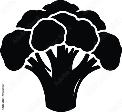 silhouette fresh healthy broccoli vegetable isolated on white background vector design