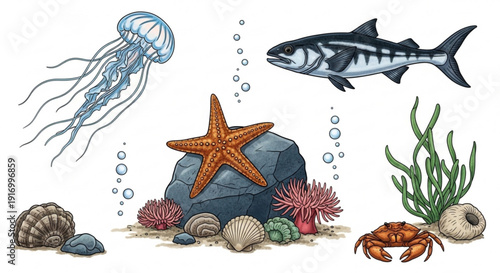 An underwater ocean scene with sea creatures on transparent background