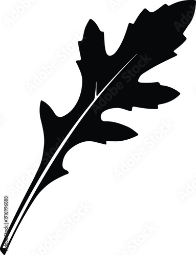 silhouette fresh healthy organic arugula rocket leaf food ingredient vector design