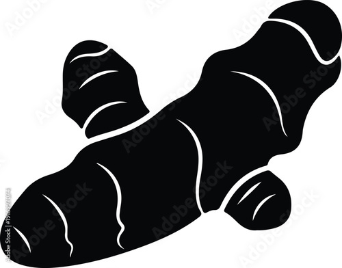 silhouette fresh organic ginger root for healthy cooking ingredient vector design