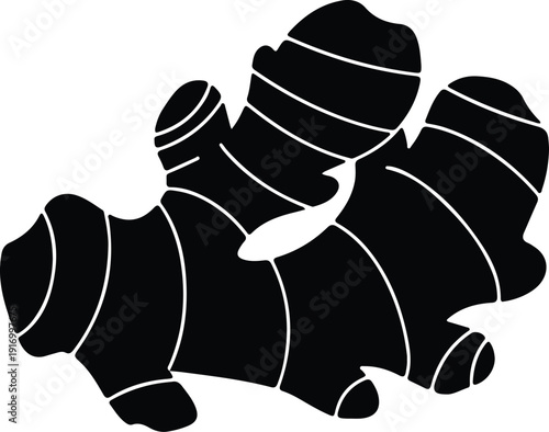 silhouette of a fresh ginger root isolated on white background vector design