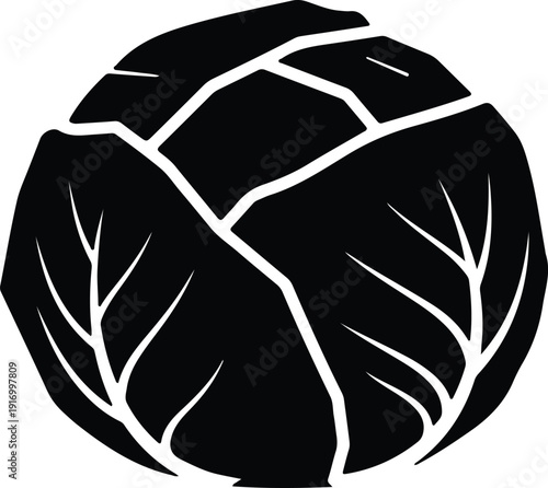silhouette of cabbage isolated on white background healthy food vector design