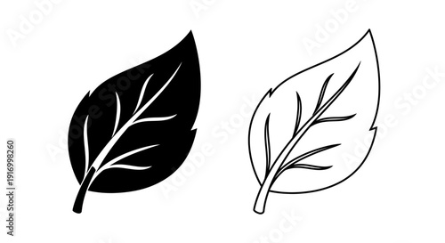 Two leaves, one black and one white, isolated on white background Vector