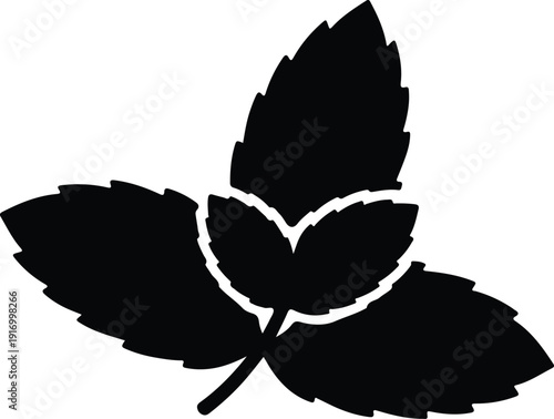 silhouette simple fresh mint leaves aromatic herb food flavoring ingredient vector design